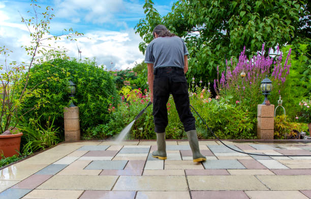 Best Boat and Dock Cleaning  in Village Green, NY